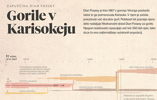 Gorile Dian Fossey