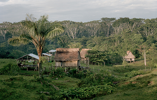 Sodobna Amazonija