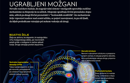 Zasvojeni možgani