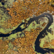 Zaliv Browns Tract Inlet v severnem delu zvezne države New York je med prvimi od 23 rek in potokov (ter 59 jezer in ribnikov) na Kanujski poti.