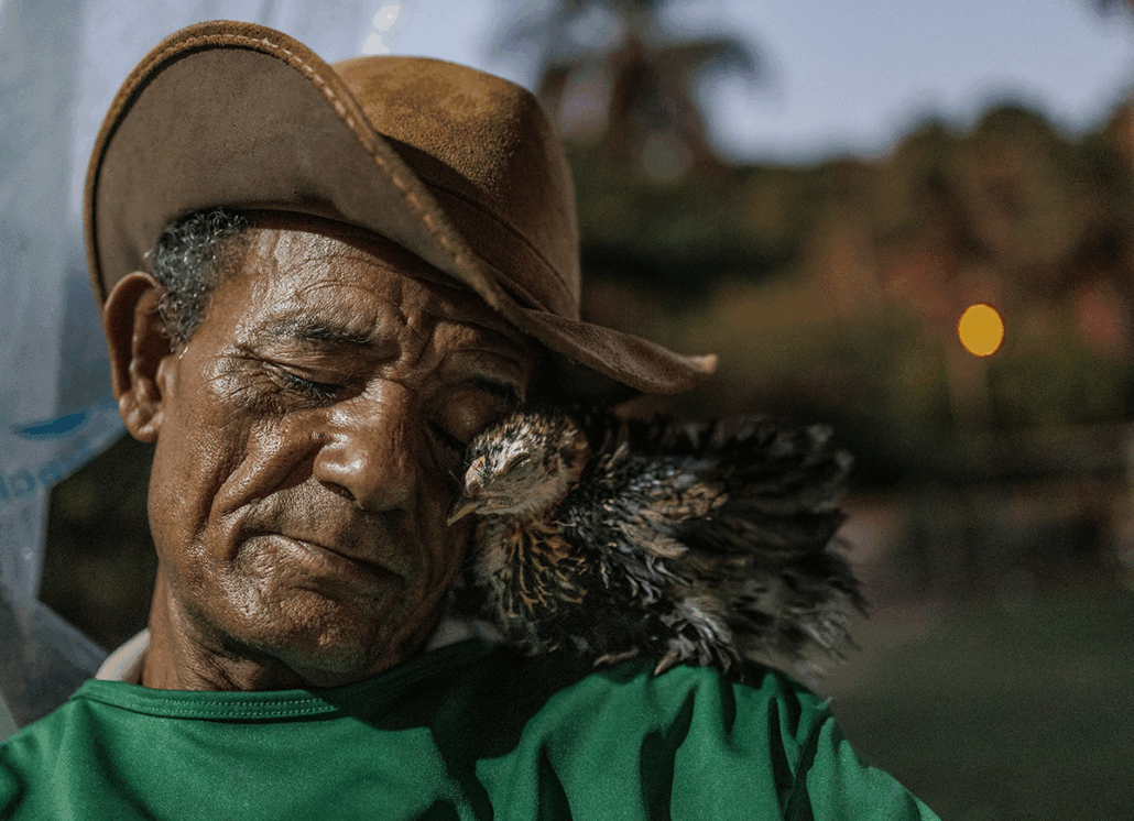 Piščanec nudi tolažbo na rami svojega gospodarja.