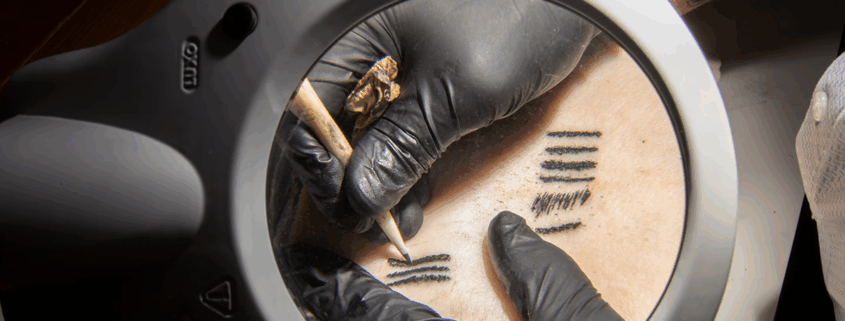 Da bi Deter-Wolf ugotovil, katero orodje so v davnini uporabljali za izdelovanje tetovaž, je izdelal replike iz različnih materialov in jih preizkusil – kot na tem kosu svinjske potrebušine.